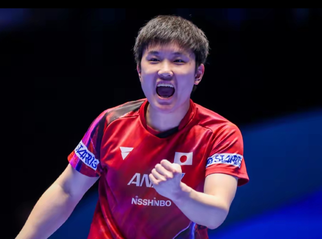 之间的巨大 之间的巨大