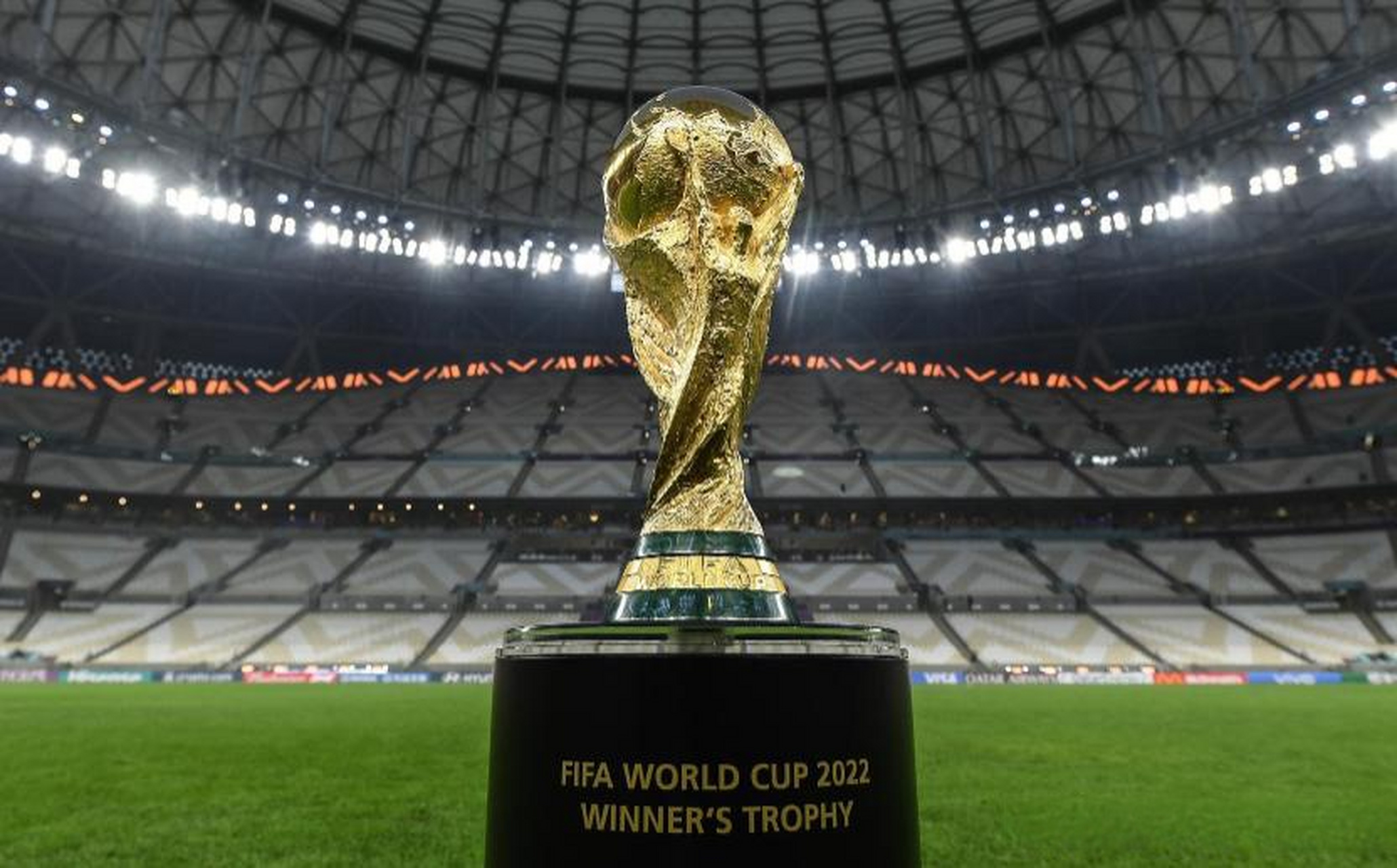 芯花路放 芯花路放